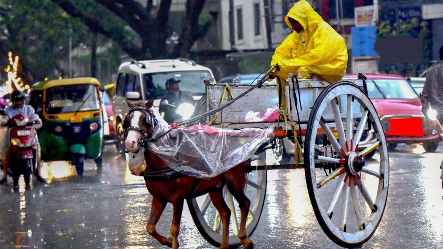 Study: Human actions drive India's rising extreme rainfall and flooding