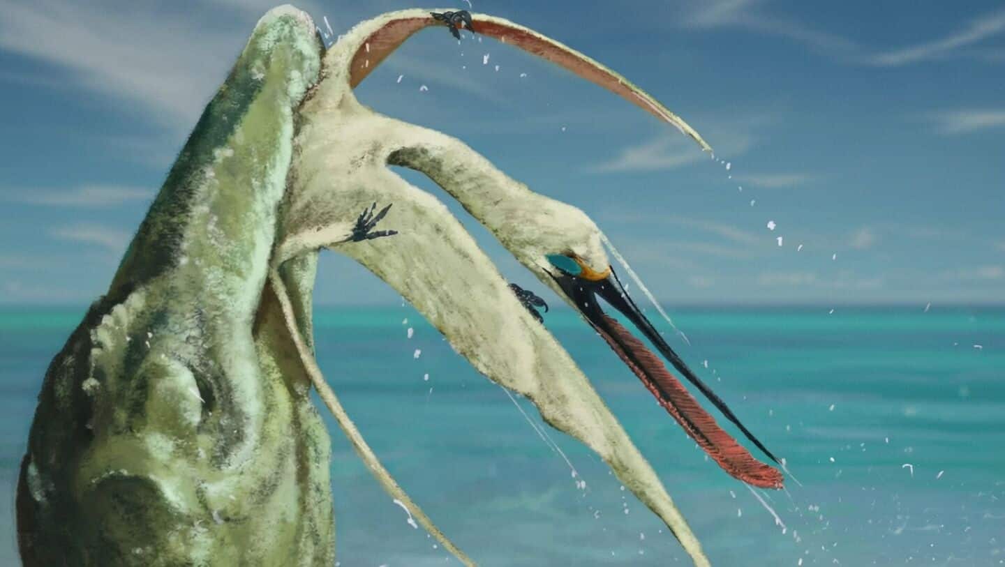 New pterosaur discovered in ancient dinosaur vomit