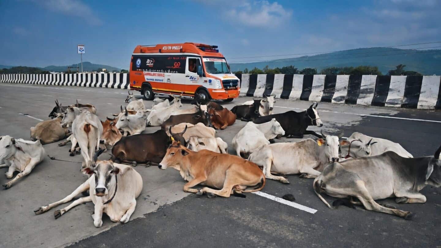 NHAI issues 1st safety guidelines for India's high speed corridors