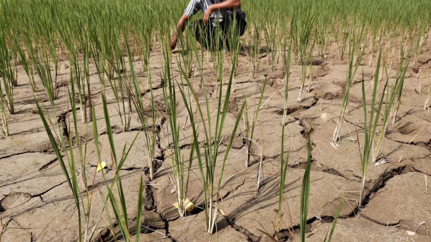 IMD says India monsoon 15% short due to El Nino