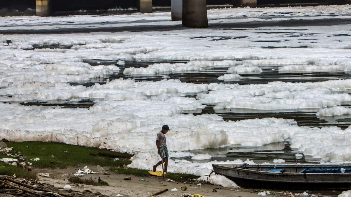 Delhi Pollution Control Committee: Yamuna still biologically dead amid sewage