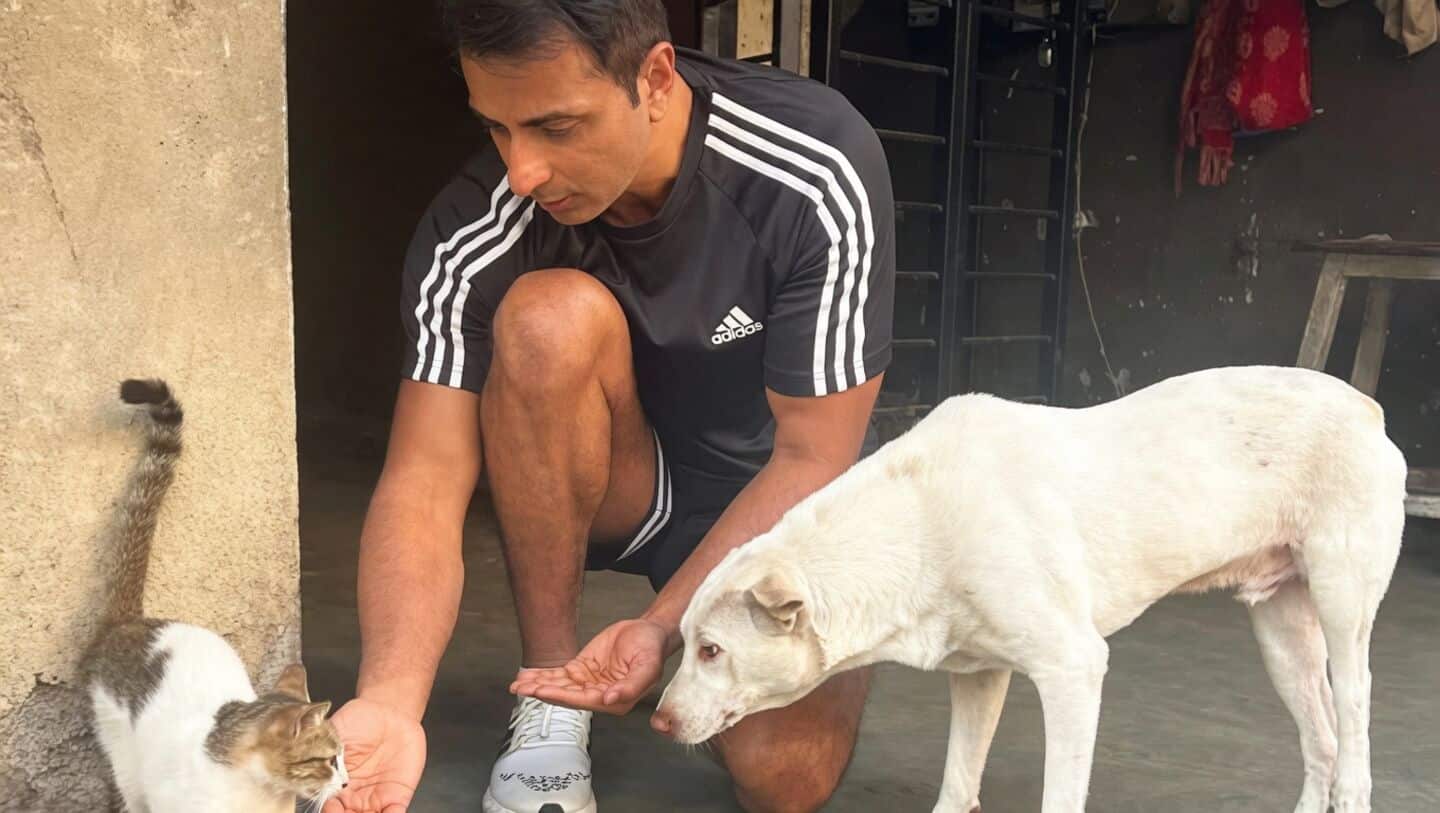 Sonu Sood urges shelters, adoption in Punjab dog clearance debate