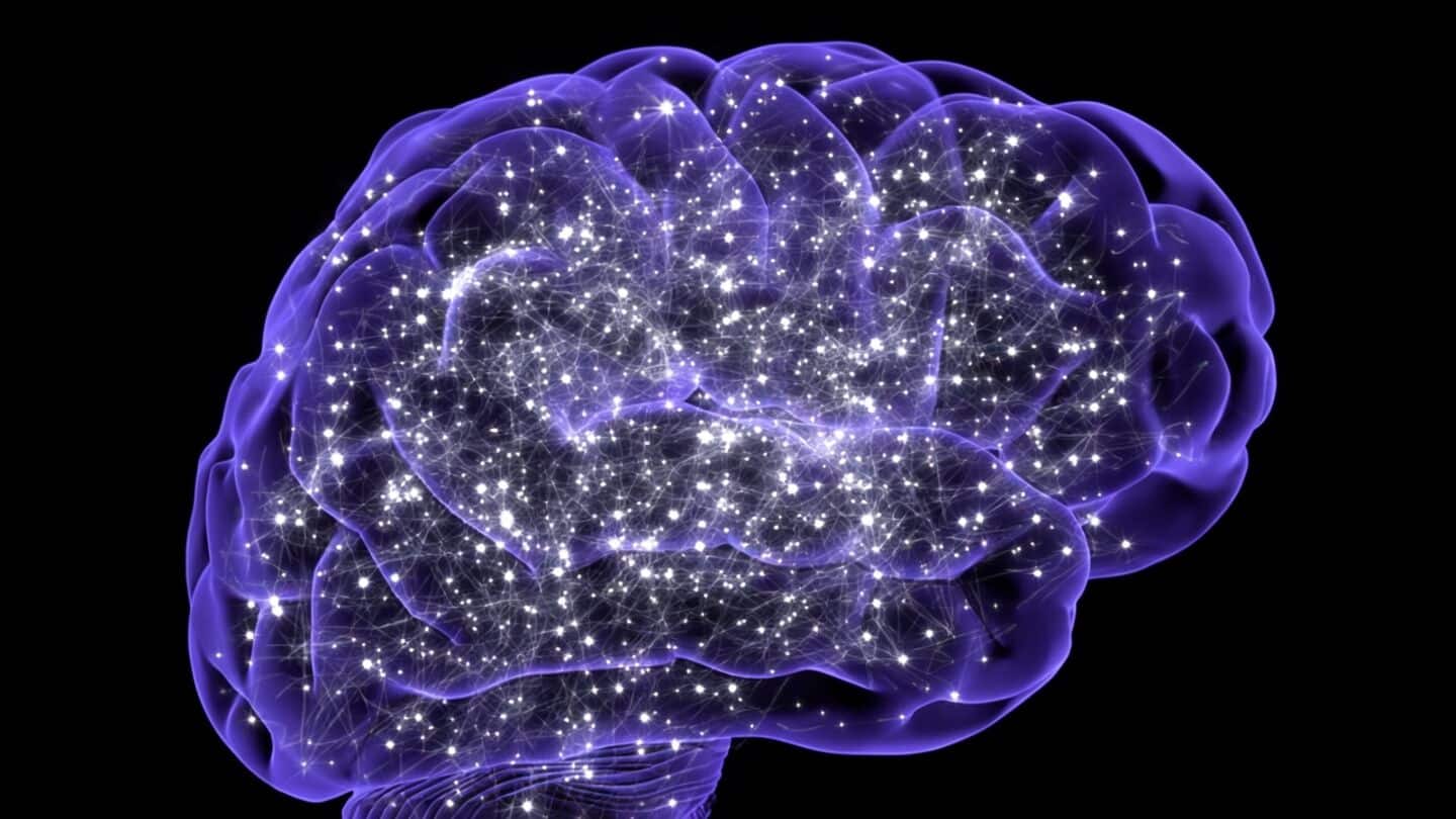 Psilocybin protects nerves in rats and may ease chemotherapy neuropathy