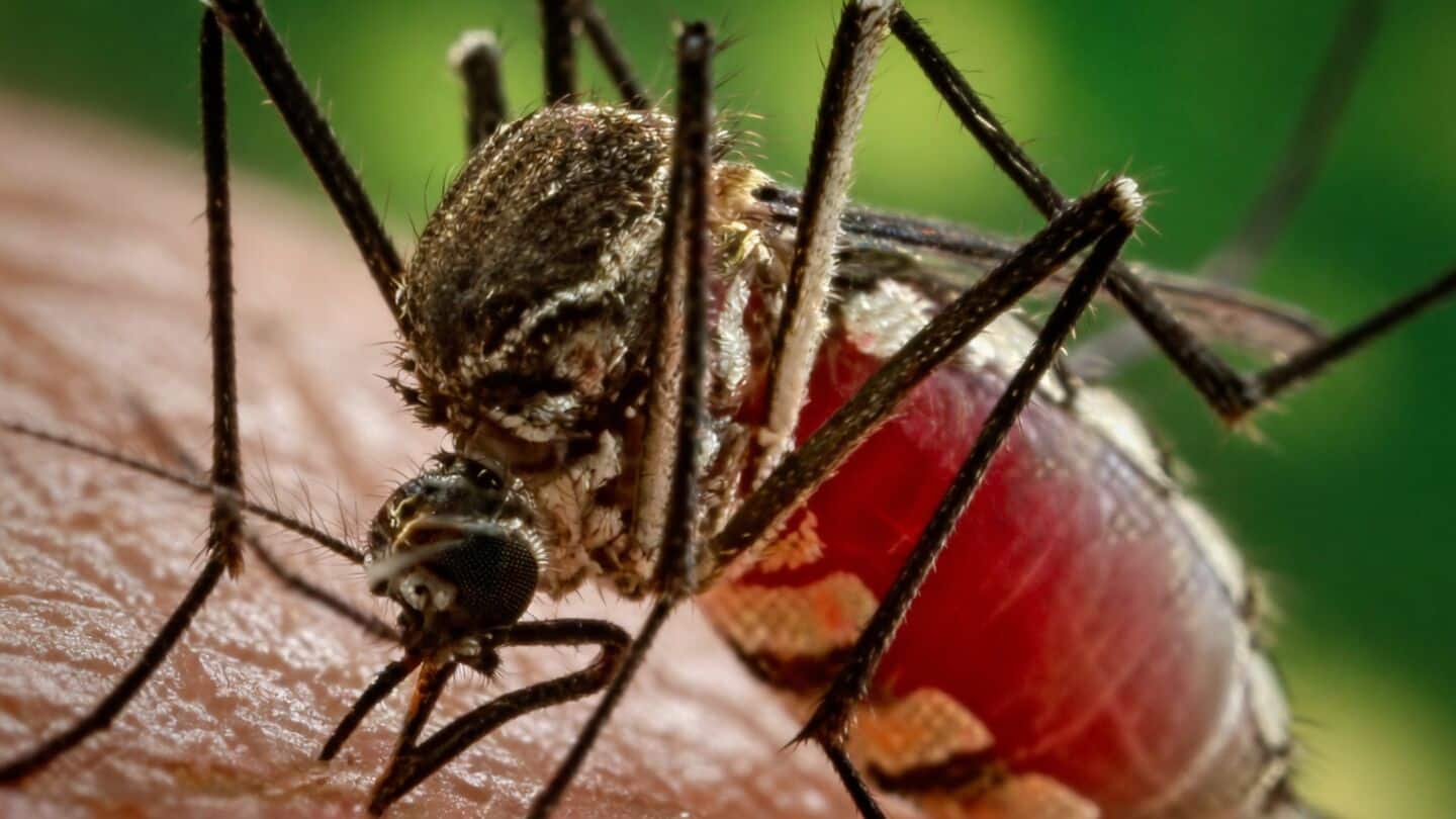 Institute of Advanced Virology is developing dengue early warning system