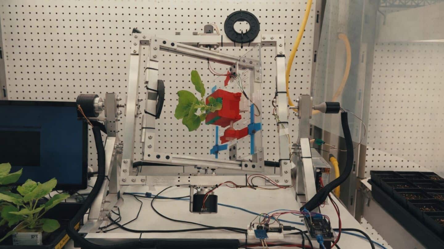 UC San Diego scientists produce medicine using plants in space