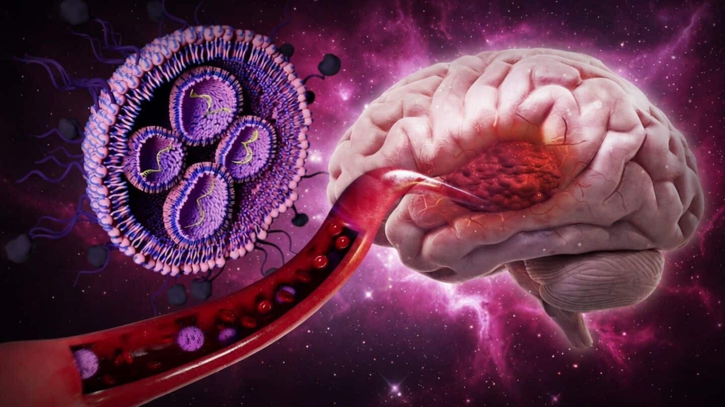 Oregon State University scientists create sugar-coated nanoparticles to target glioblastoma