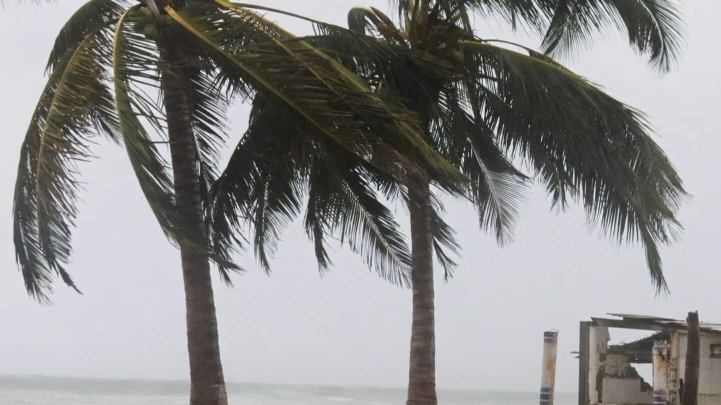 Climate change boosted Hurricane Polo more than El Nino