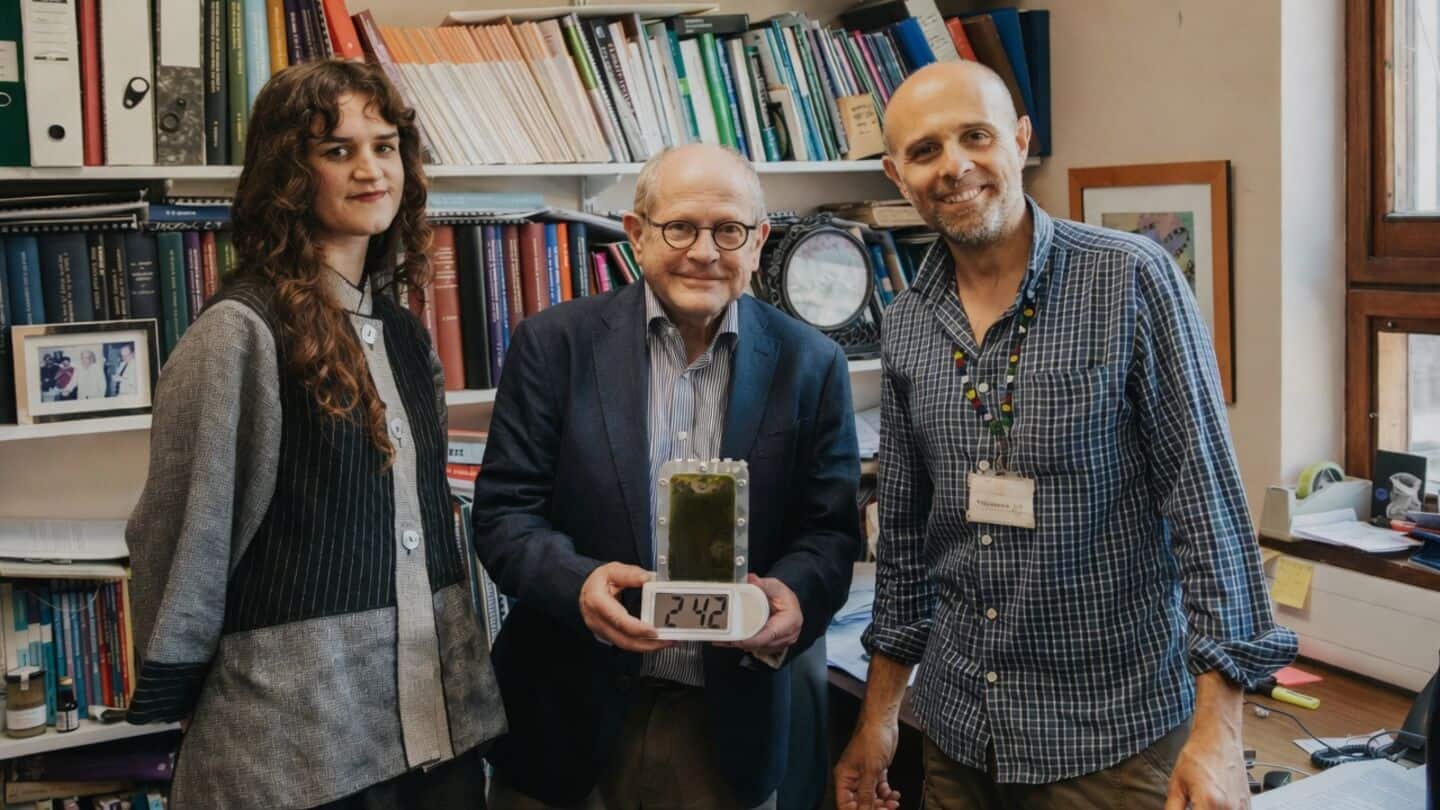 Cambridge scientists build cyanobacteria battery using photosynthesis and night respiration