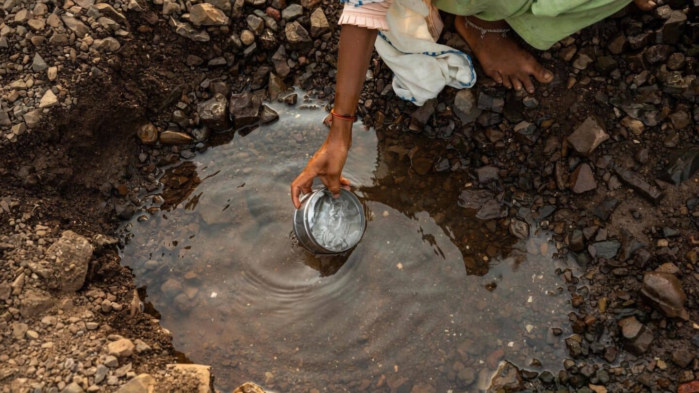 Caltech study finds drought concentrates soil antibiotics raising bacterial resistance