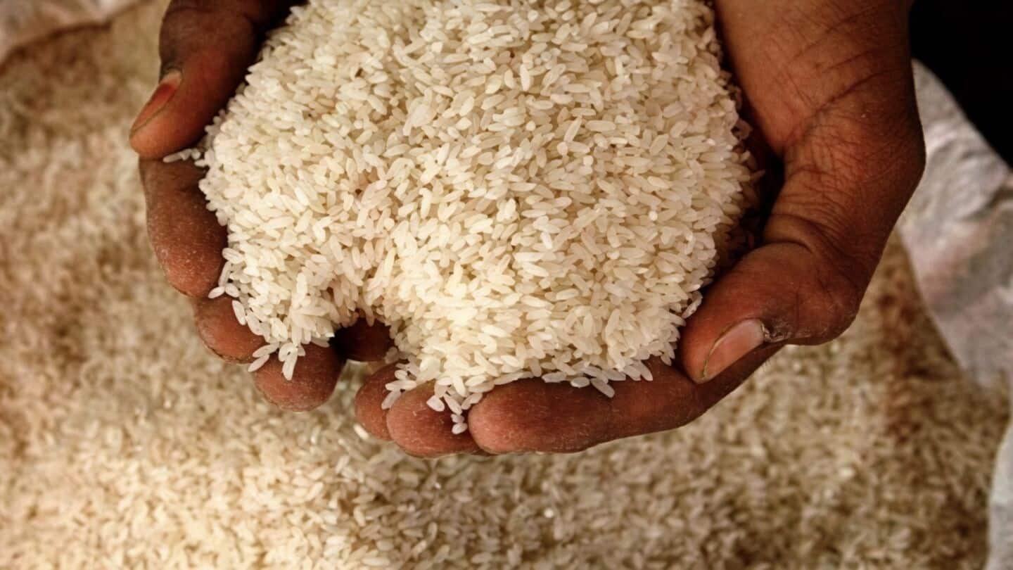 Indian rice export prices hit highest in nearly 10 months