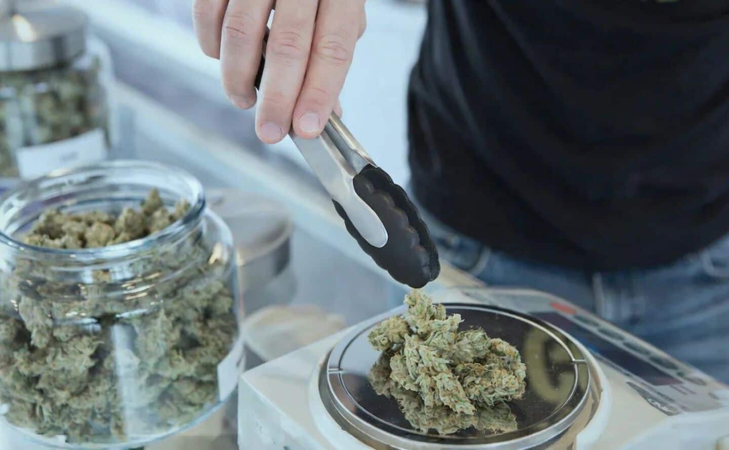 Cannabinoids may help treat fatty liver disease