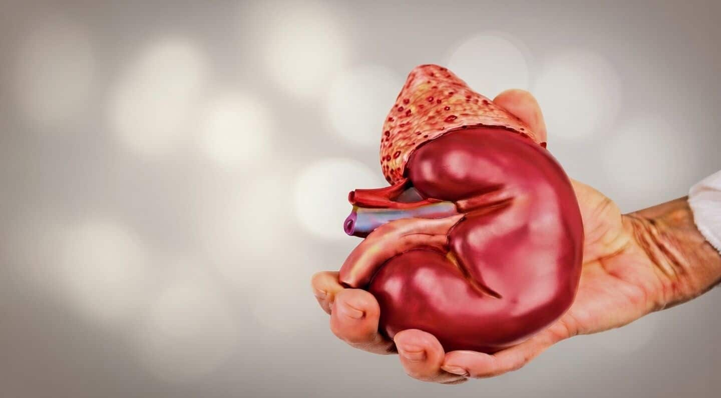 Kanpur kidney transplant scam reaches Meerut hospital, CMO orders explanation