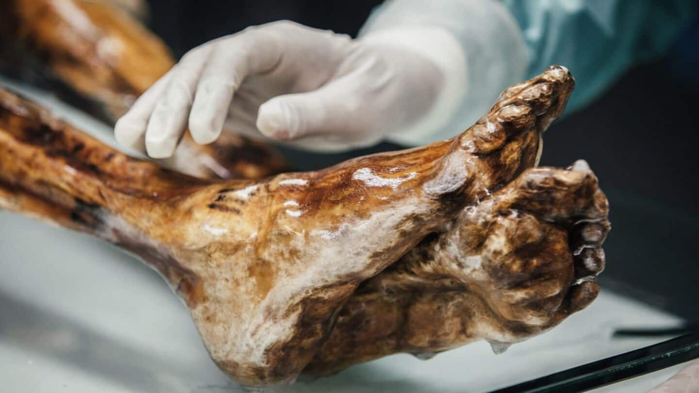 Otzi the Iceman carries ancient cold-loving microbes, study finds