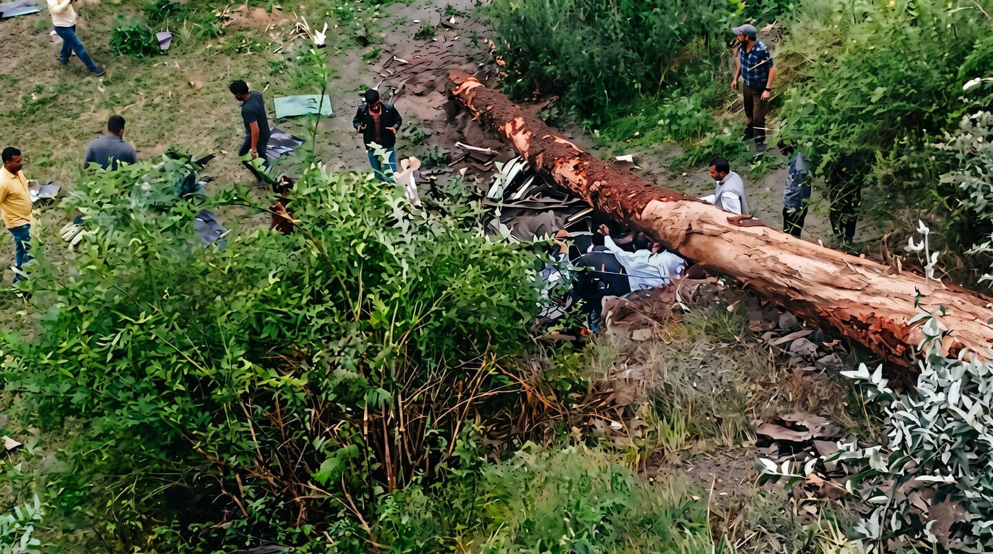 Teachers killed in Kullu after tree toppled onto car