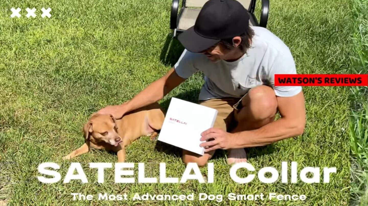 Satellai drops AI-powered pet health tech at CES 2026