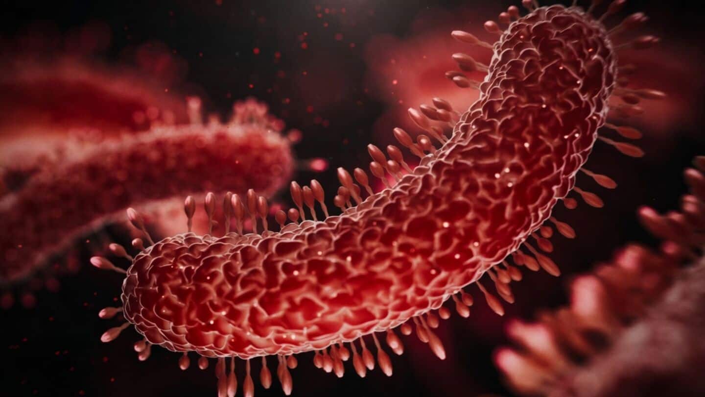 Kerala records 6th Shigella death as June cases reach 140