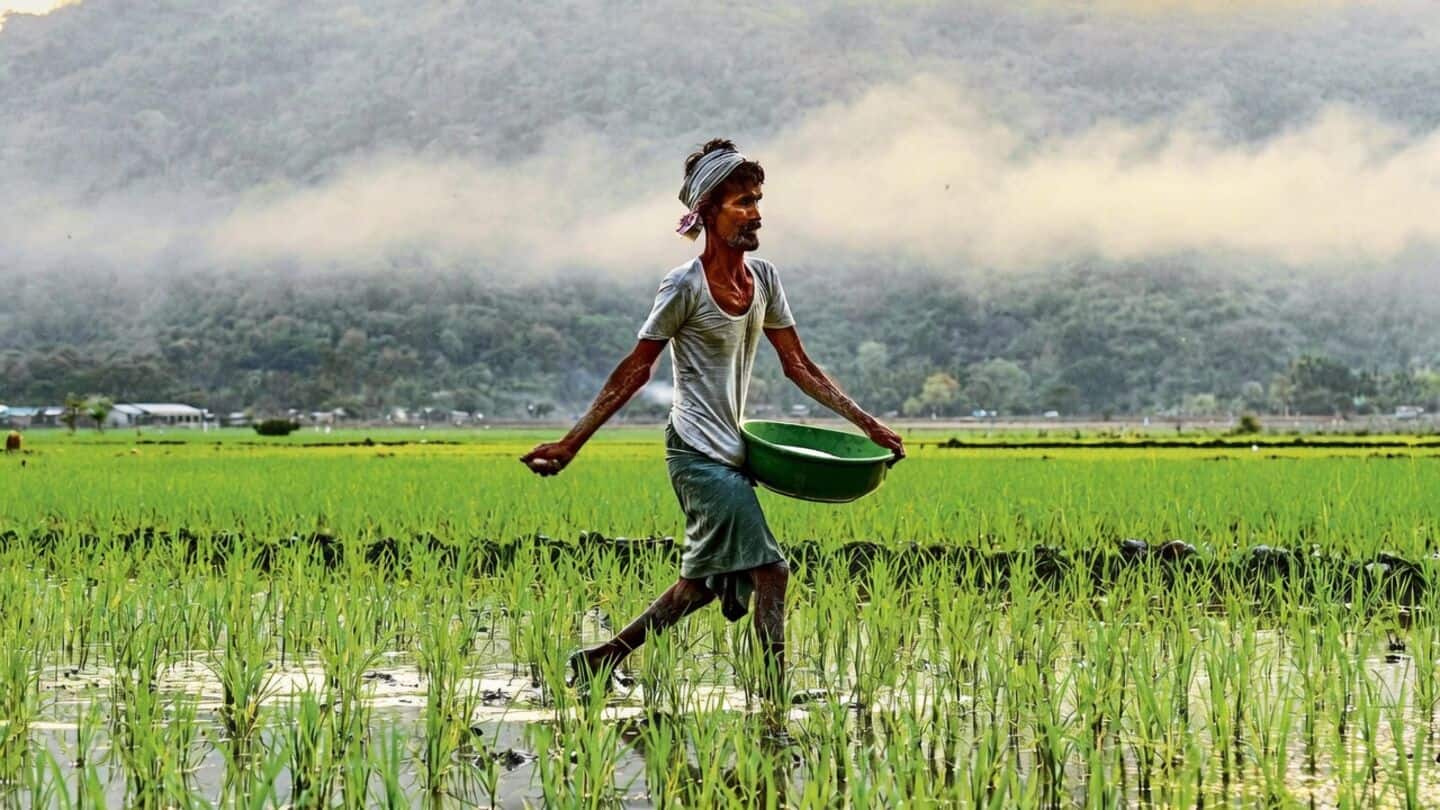 India spending ₹3.54tn on fertilizer subsidies while 1-third reaches crops