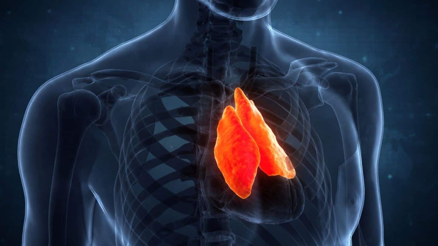 Nature study: AI on 25,000 adults links thymus to longevity