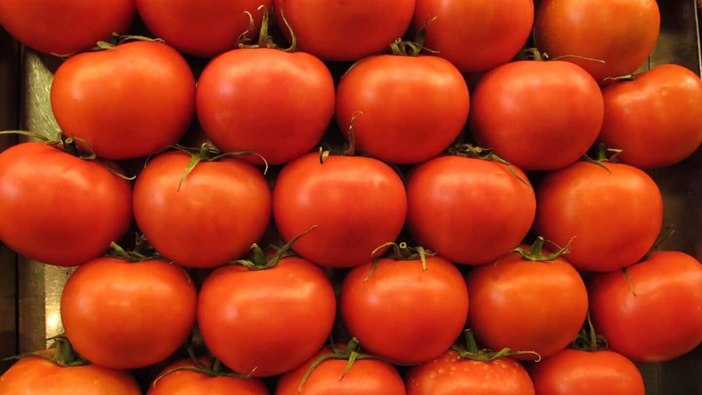 Analysis and experts warn grocery costs could rise in 2027
