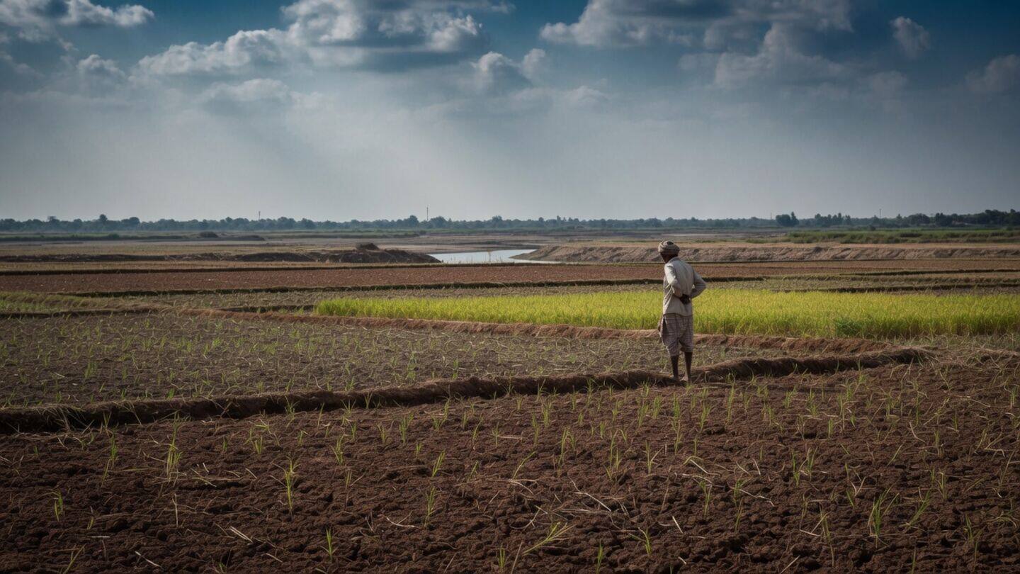 Late monsoon cuts India's Kharif sowing 6%, pulses worst hit