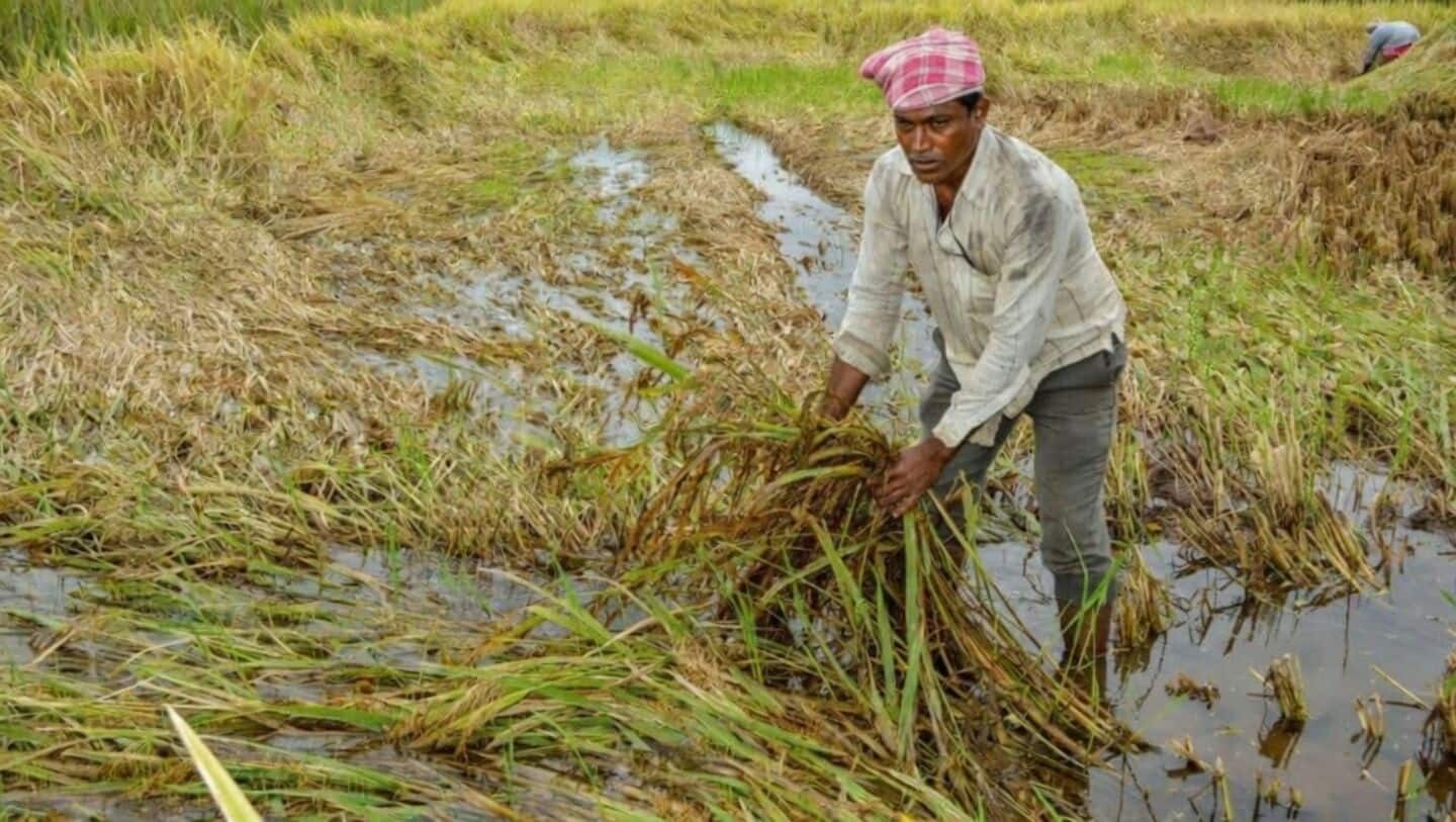 IMD warns of rain thunderstorms hail risk in Maharashtra Mar30-Apr4