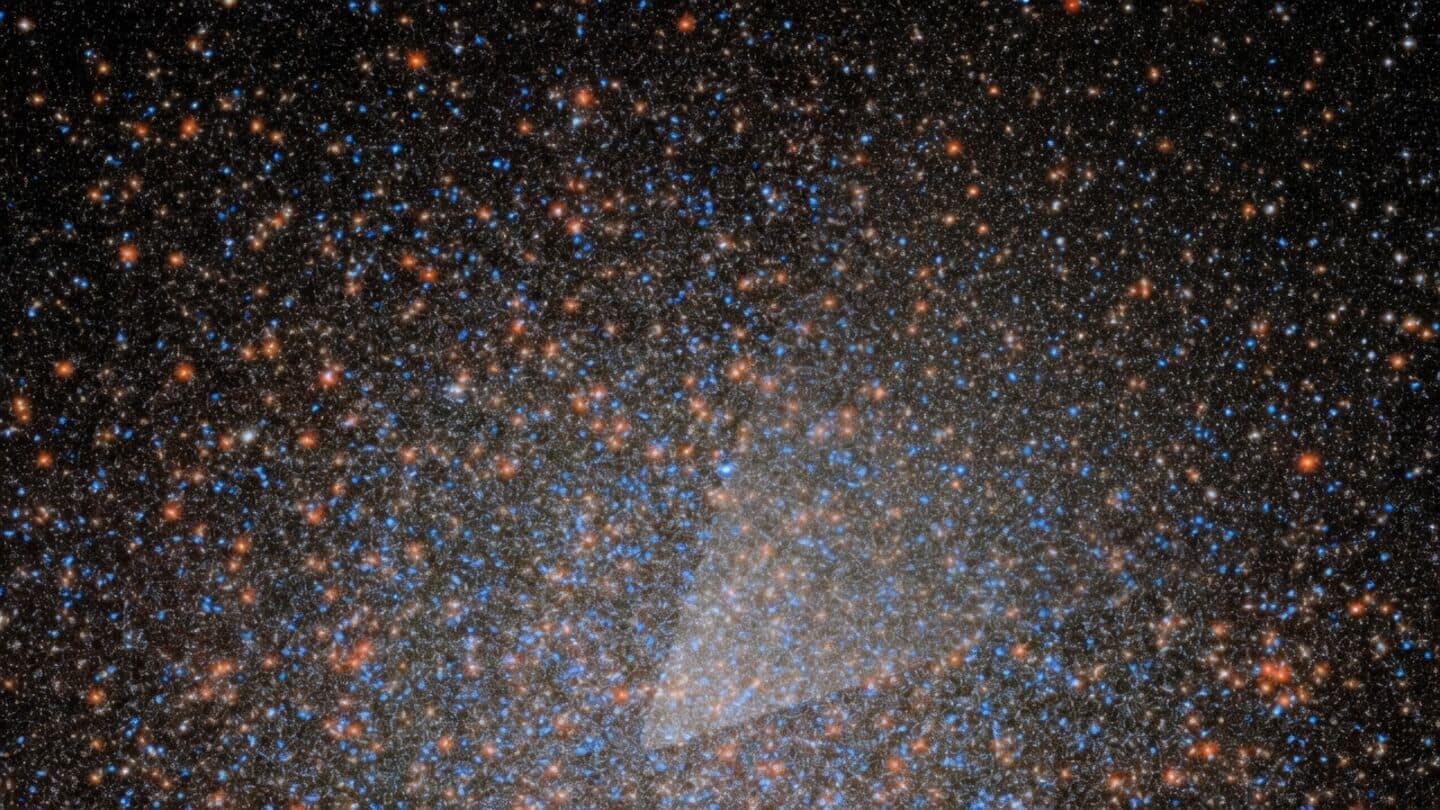 Hubble and Webb data confirm oMEGACat BH-2 in Omega Centauri