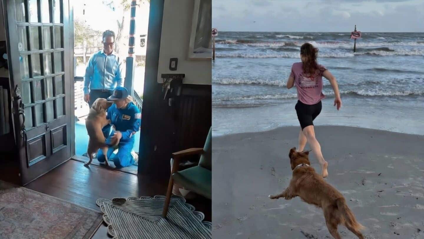 Artemis II's Christina Koch posts video of Sadie greeting her