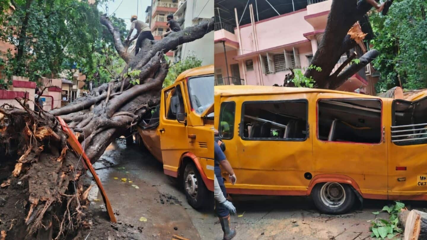 Vihan Shrivastav killed as tree falls on Chembur school bus