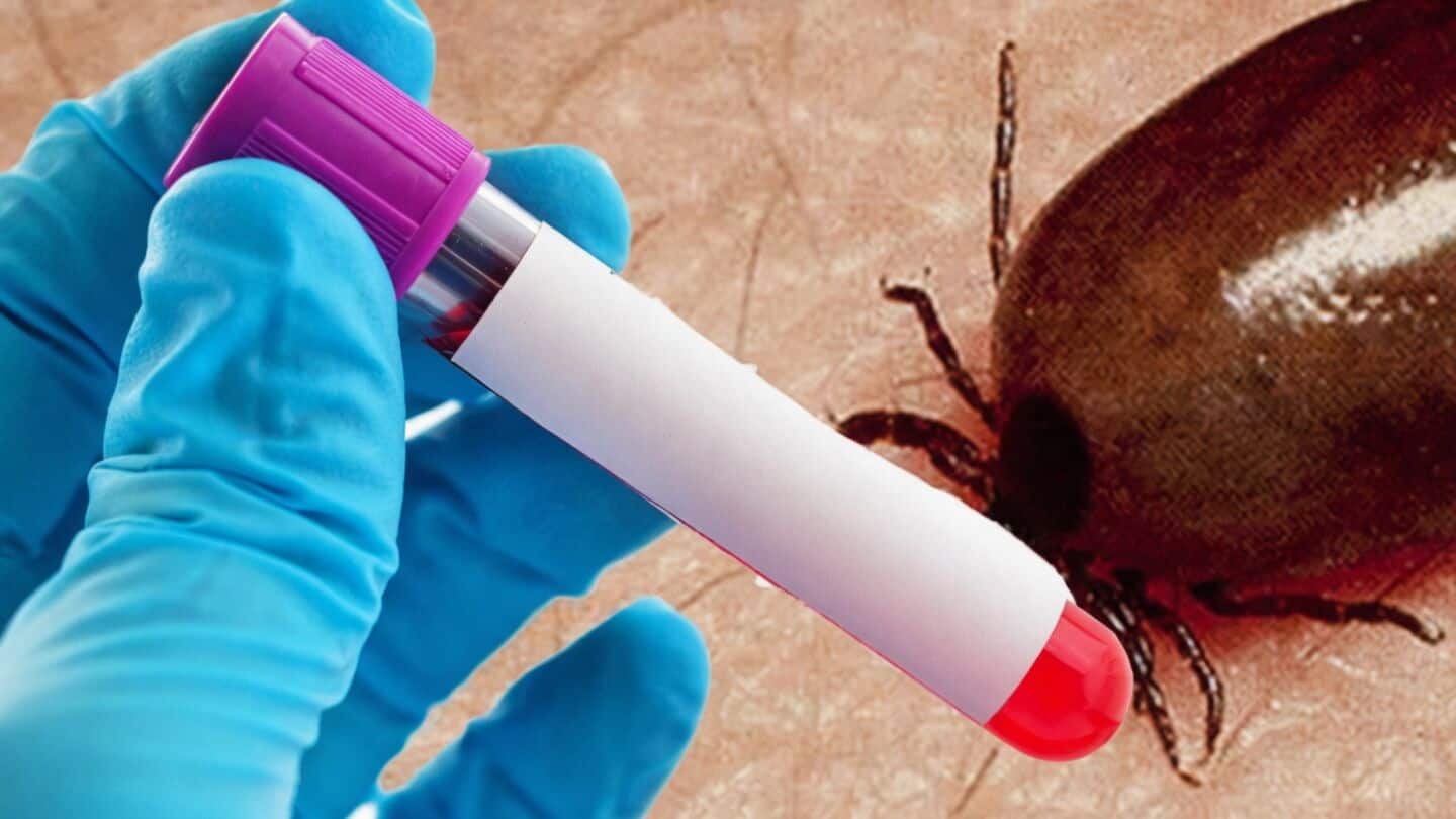 Odisha reports 29 suspected scrub typhus cases in Sanbagdhari village