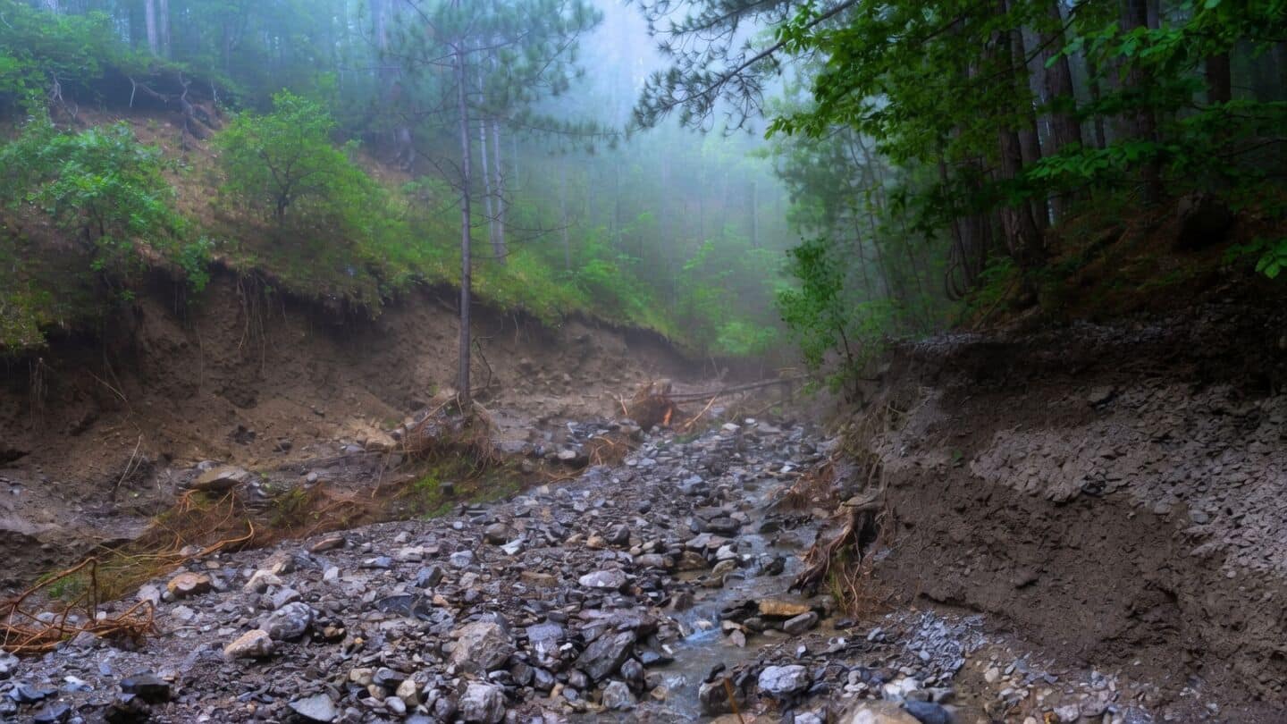 Landslide near Teekoy Kottayam kills Chennai resident Sangeetha Arul Lal