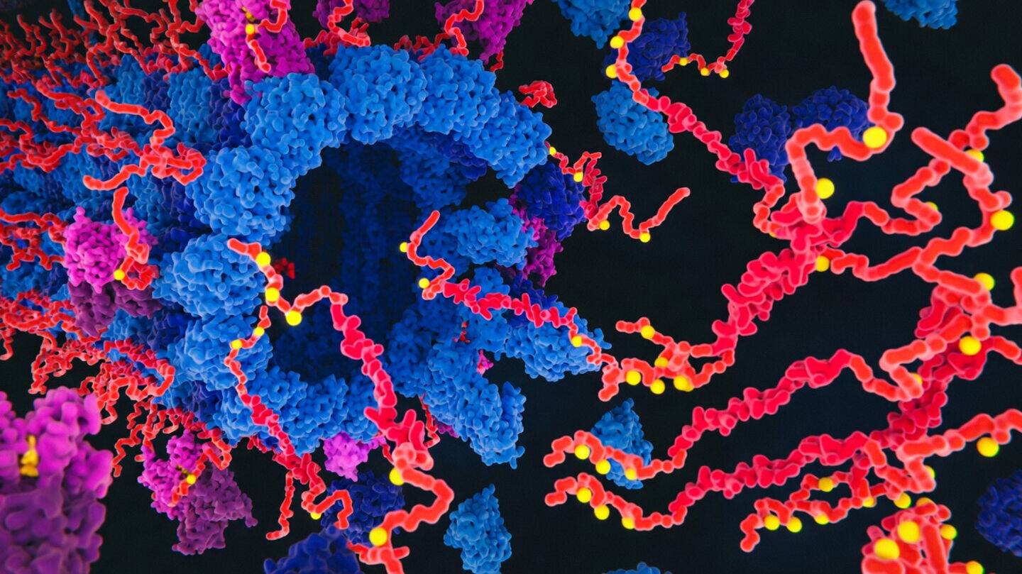Columbia scientists find tau linked to Alzheimer's produced in dendrites