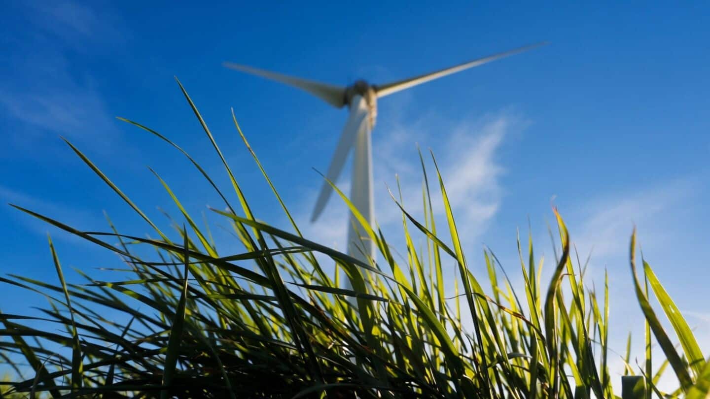 India could export green hydrogen to Germany, says Philipp Ackermann