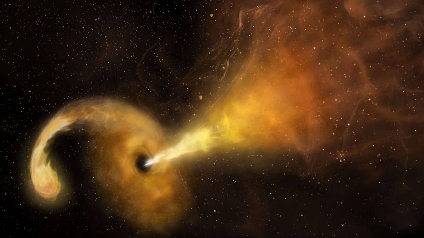 First confirmed off center supermassive black hole rips star apart
