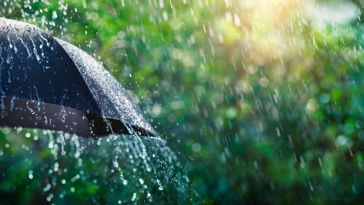 IMD warns monsoon will drench 4 states and forecasts heatwaves