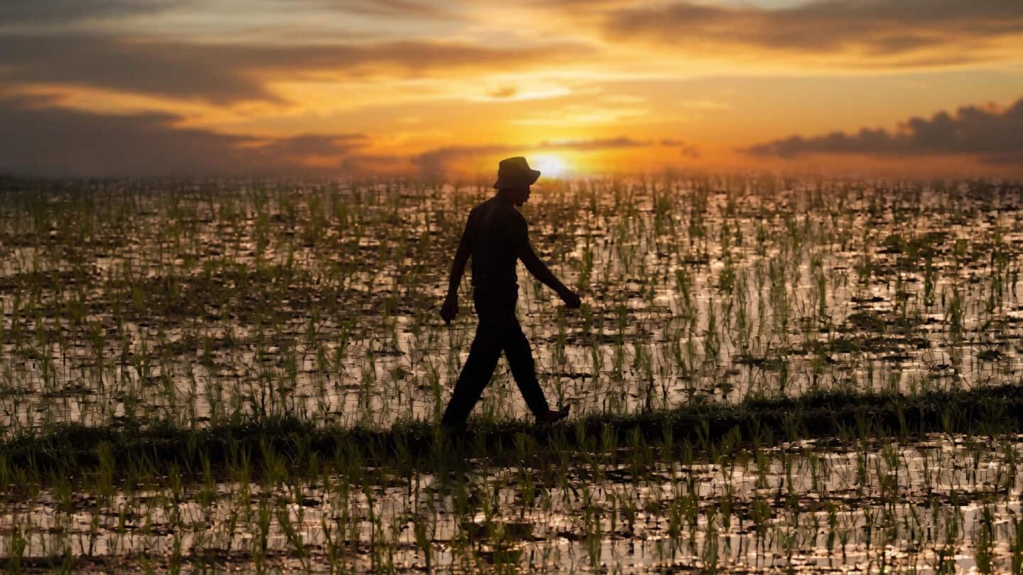Government to credit 23rd PM-Kisan installment June 20 ₹6,000 yearly