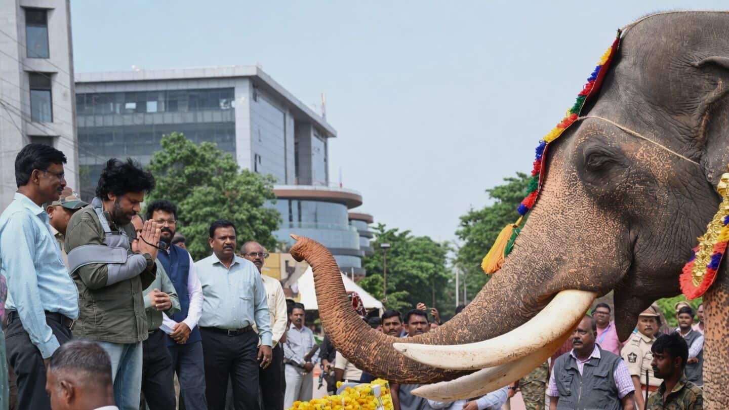 Andhra Pradesh deploys kumki elephants to guide Parvathipuram Manyam herds