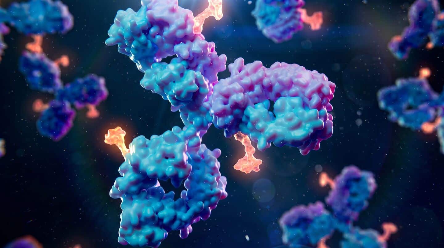 Seattle scientists create antibodies that could prevent Epstein-Barr virus infection