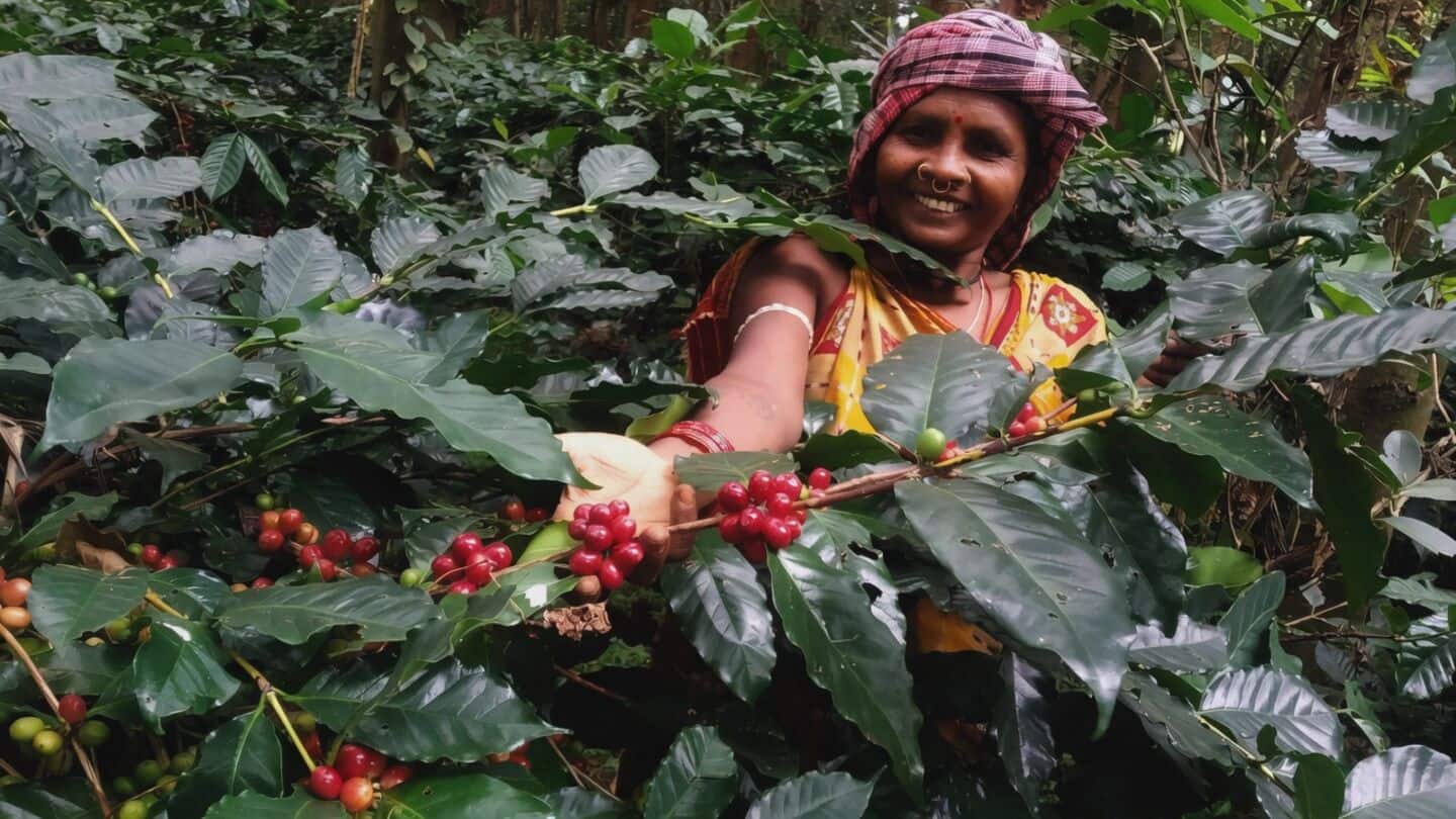 Koraput coffee 'Tiger Bright' featured in New Delhi BRICS kits