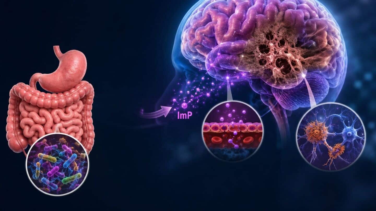 Study links blood imp to worse early cognitive test performance