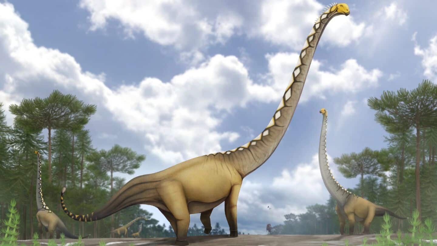 Thai paleontologists uncover new Mamenchisauridae dinosaur Uragasaurus kalasinensis in Kalasin