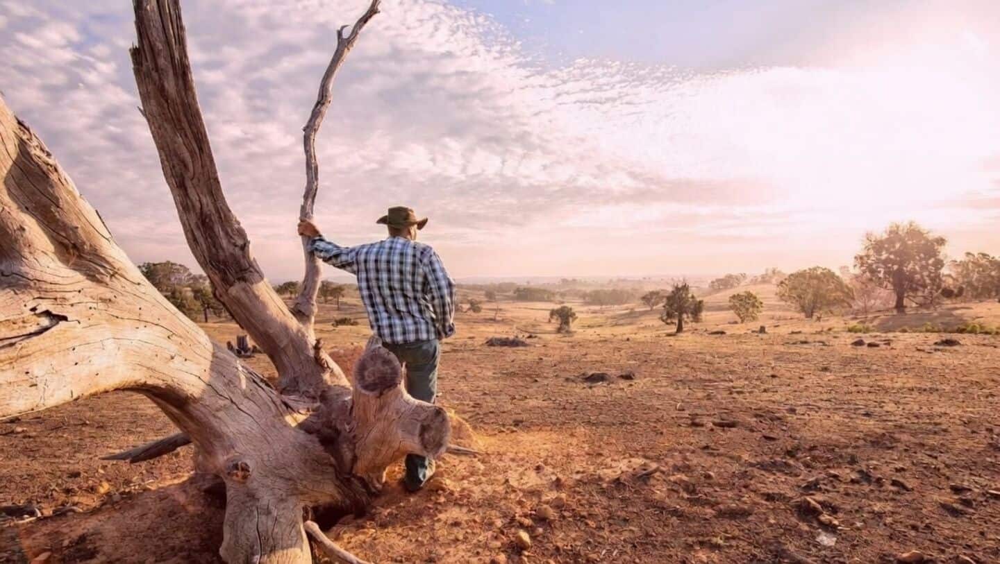 Caltech study finds droughts may increase antibiotic resistance in soil