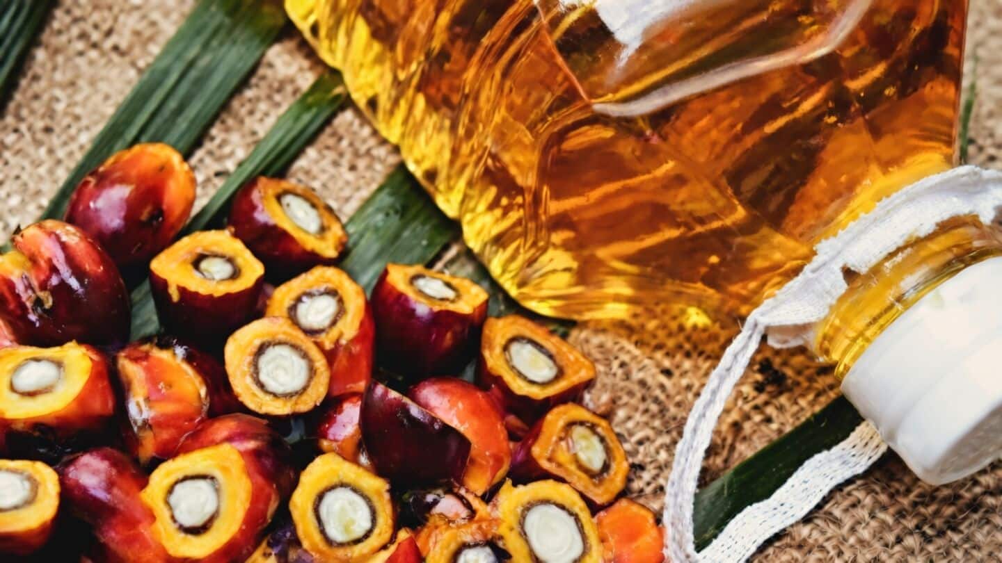 India imports over 9 million tons of palm oil annually