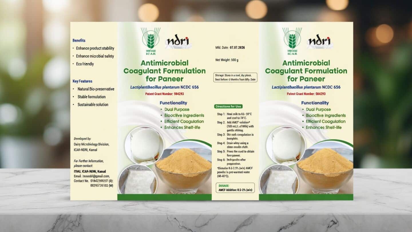 ICAR-NDRI Karnal scientists develop AMCF to double paneer shelf life