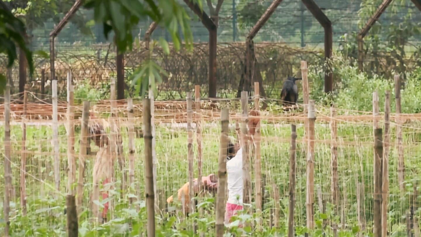 West Bengal gives BSF 32 acres for India-Bangladesh fencing