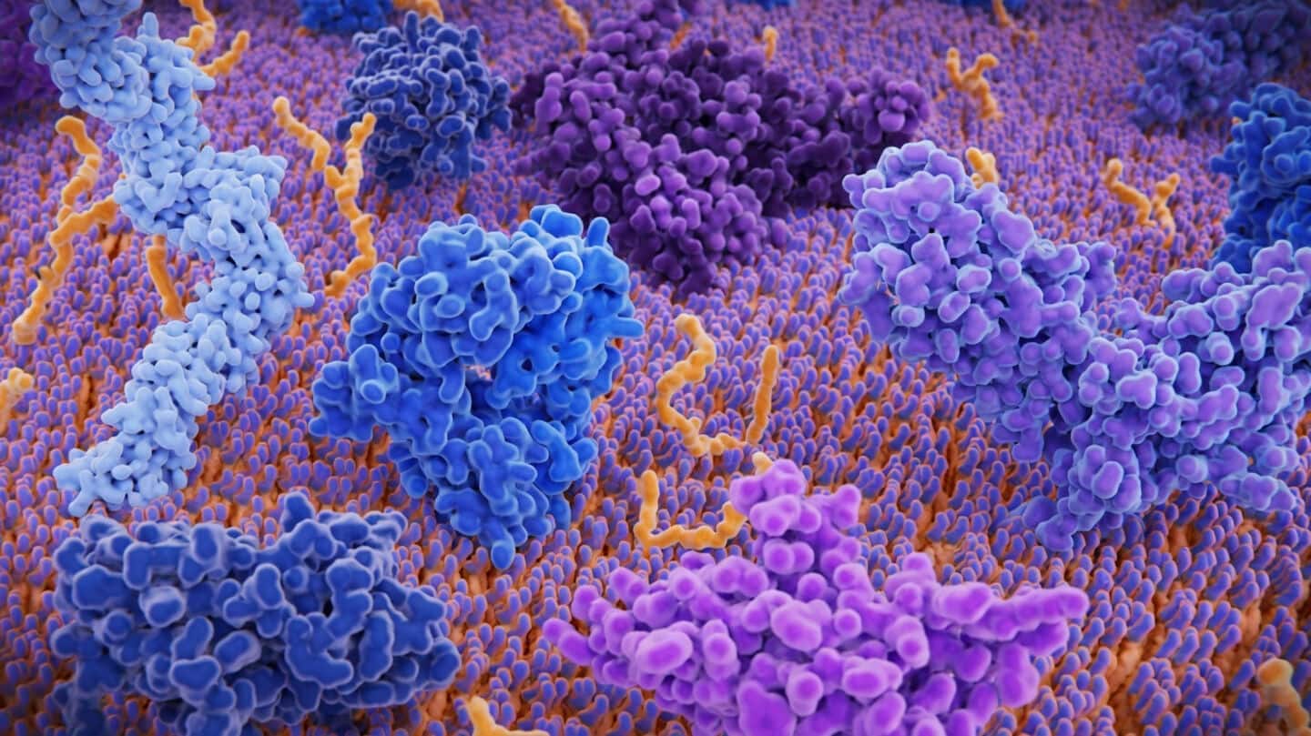 Alessio Lanna to lead trial testing Sentcell T cell drug