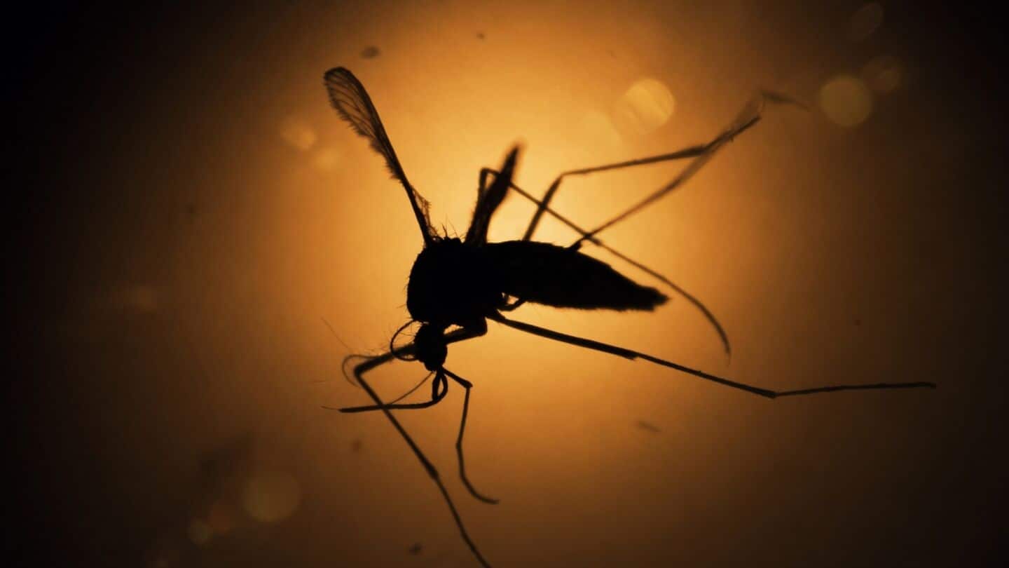 Since 2015, malaria cases climb 8.5% as parasites resist ACTs