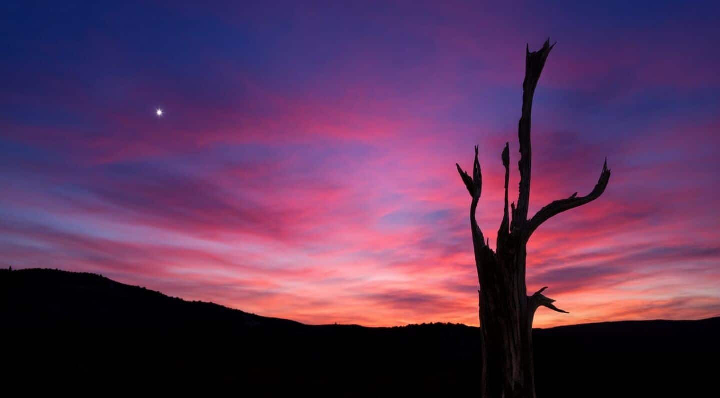 April offers easy naked eye views of Venus and Jupiter