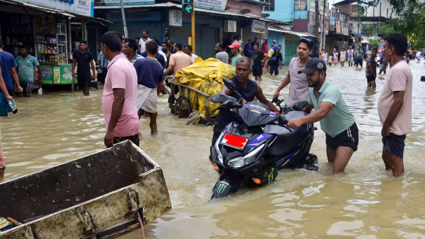 Deforestation on Nagaland and Arunachal Pradesh hills worsened Assam floods