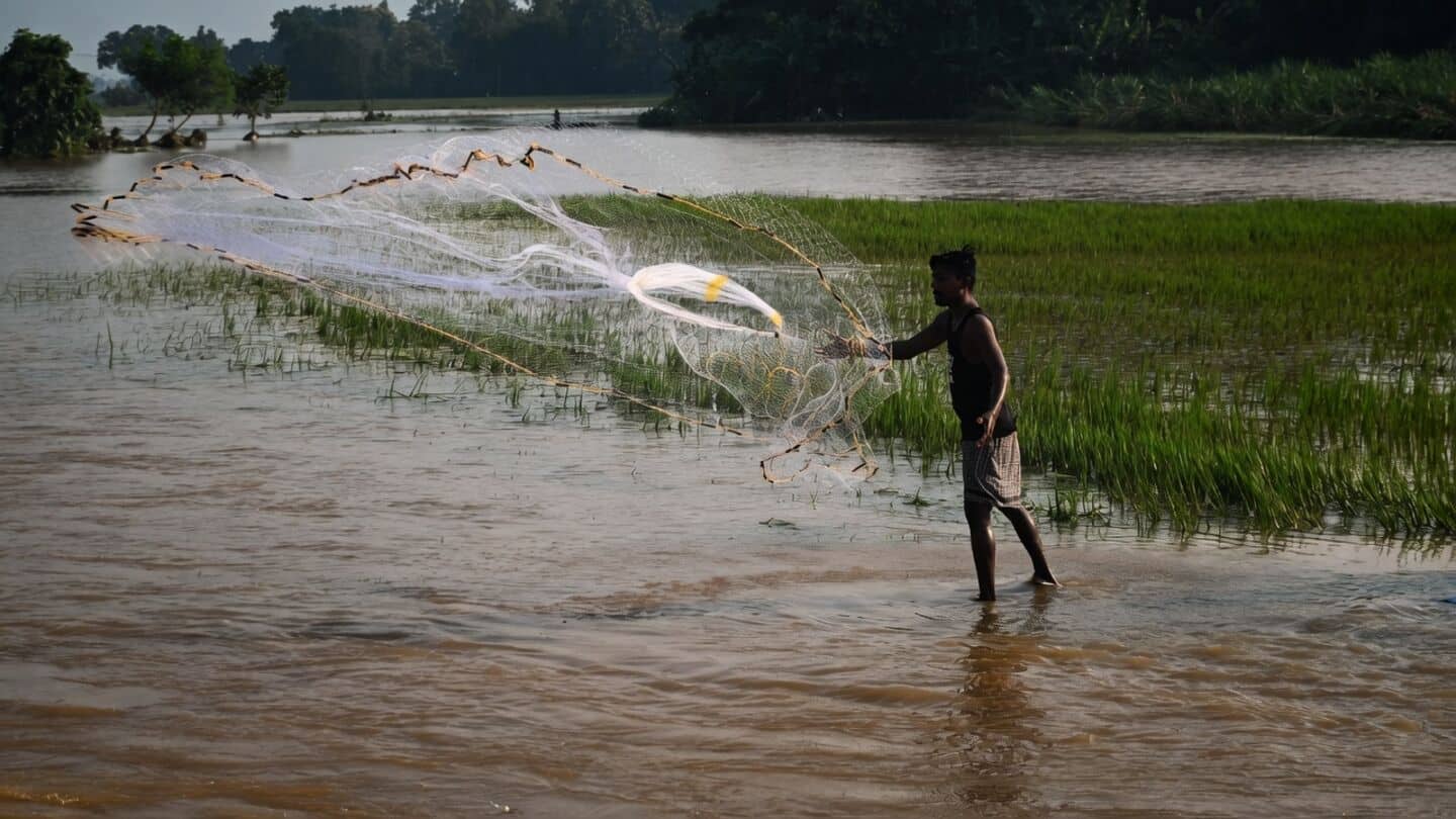 North Coastal Andhra Pradesh farmers lose ₹1,000cr to back-to-back disasters