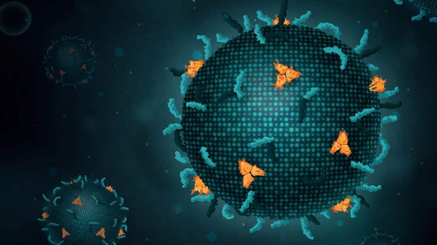 Central health team sent to Gujarat, Rajasthan after CHPV outbreak